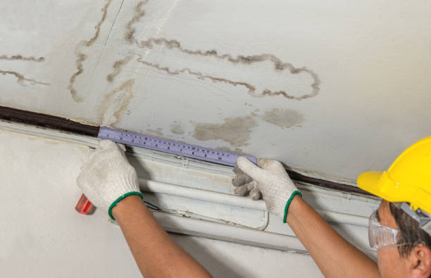 Reliable Water Damage contractor in Plano, TX by Water Damage Irwin